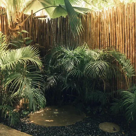 Eteka Slow (adults Only) Cartagena